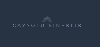 çayyolu sineklik